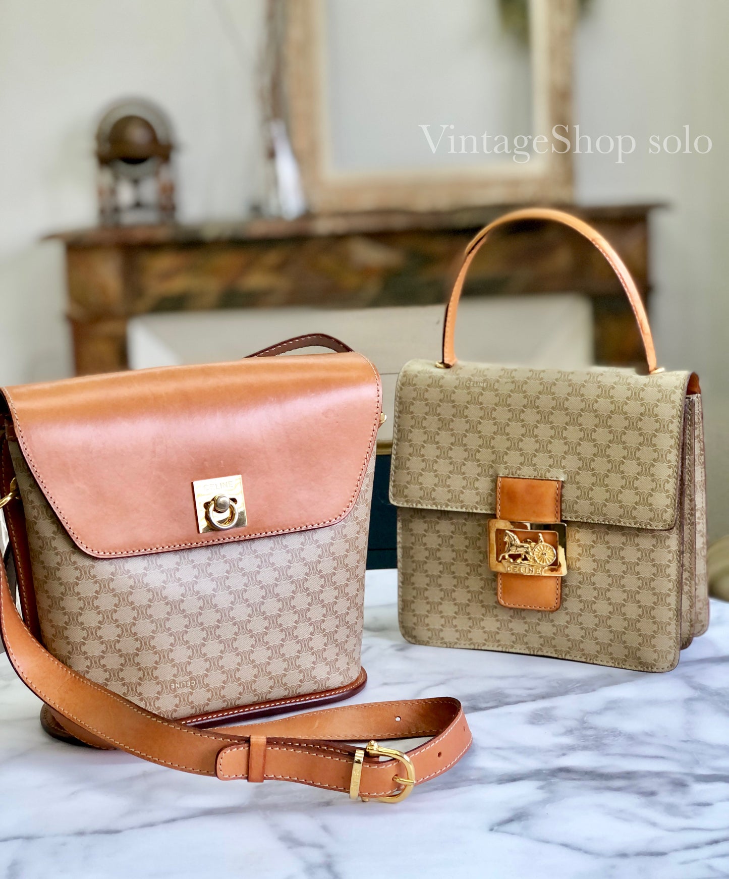 CELINE Macadam Horse Carriage Handbag Beige xktked