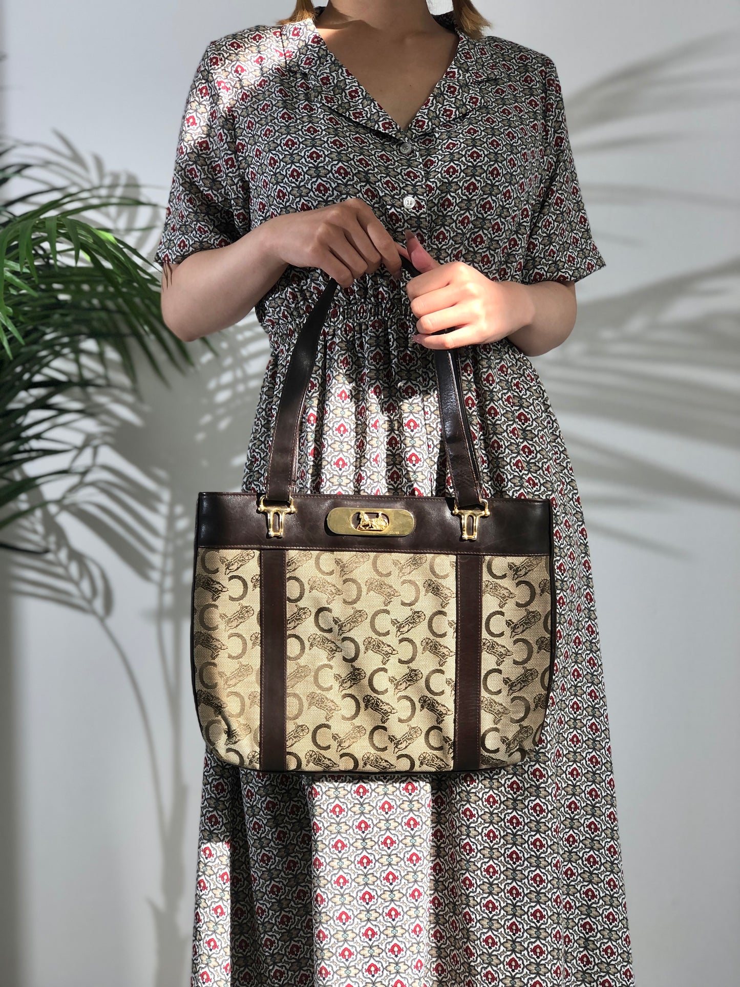 CELINE Horse Carriage C Macadam Jacquard Leather Brown Vintage ghbv7g