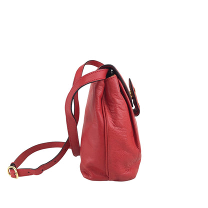 CELINE Blason Shoulder bag Red Vintage mv242g