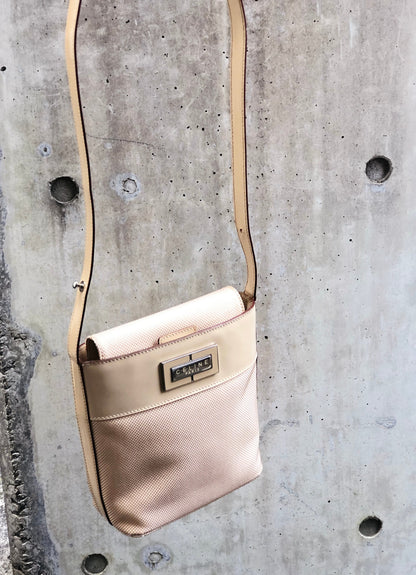 CELINE Plate Logo Nylon Enamel Mini Bag Pochette Shoulder Bag Beige Vintage Old Celine 27b7s8