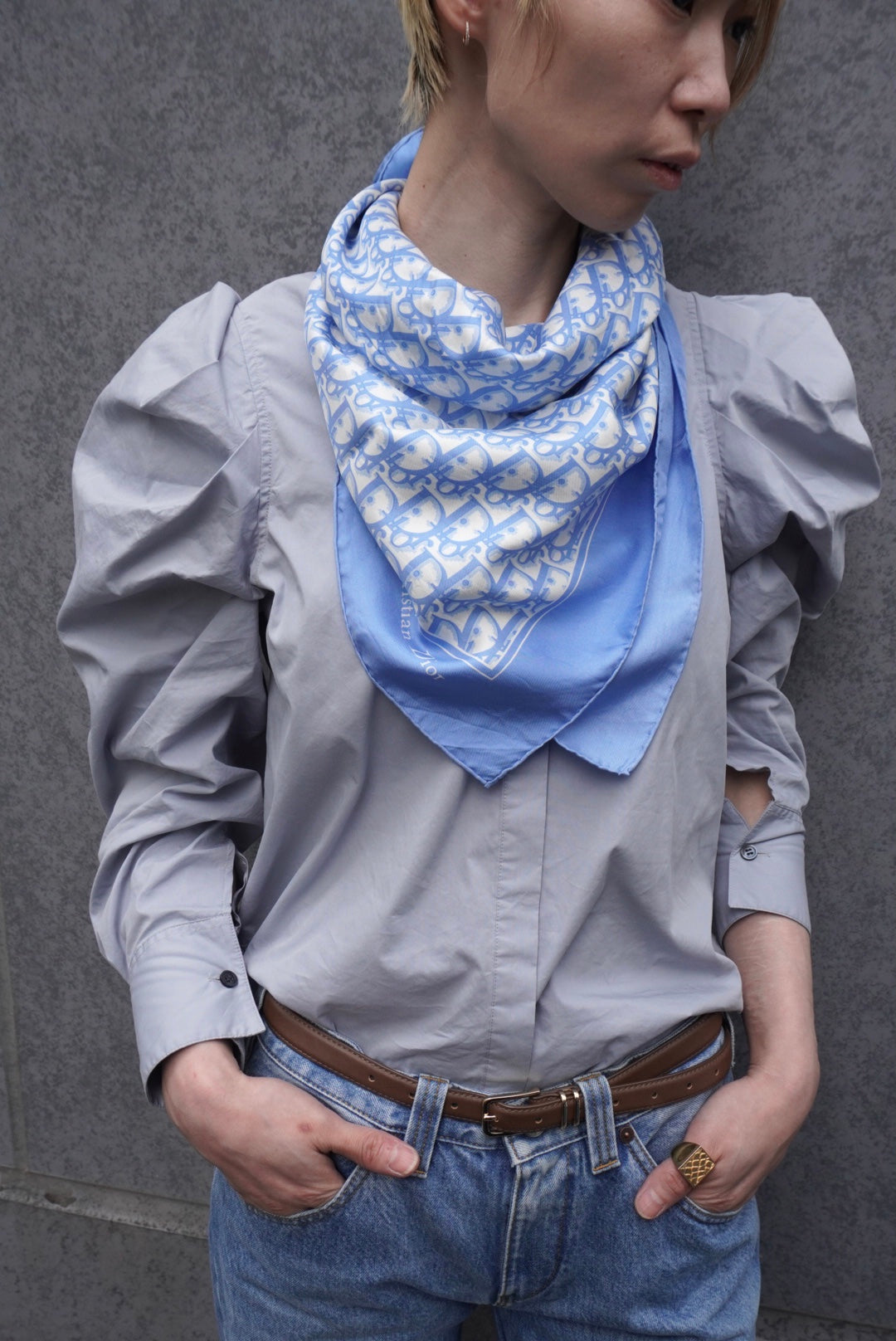Christian Dior Trotter Scarf Blue Vintage ap2udm