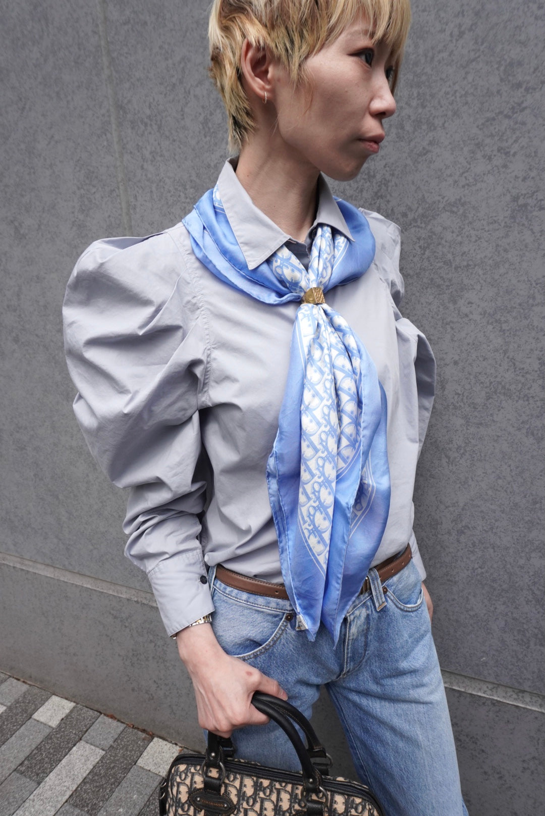 Christian Dior Trotter Scarf Blue Vintage ap2udm