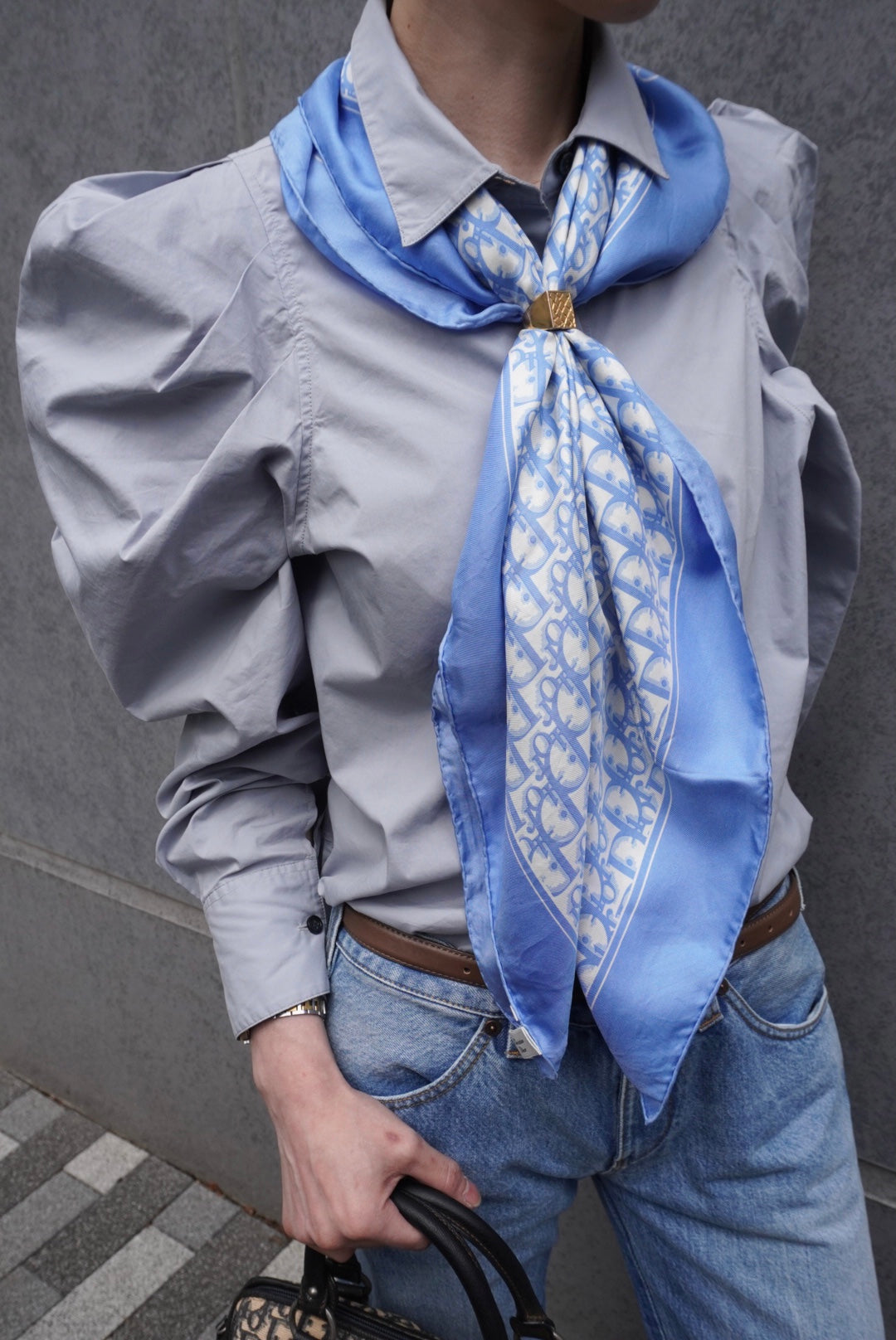 Dior Trotter – VintageShop solo