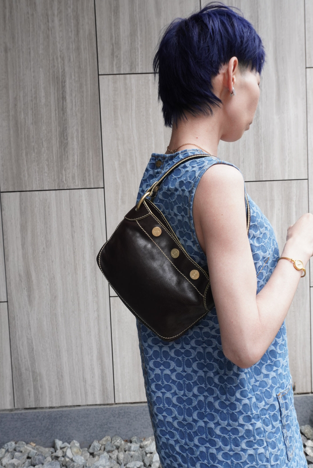 CELINE Blason Shoulder bag Hobobag Brown Vintage 4ykatc
