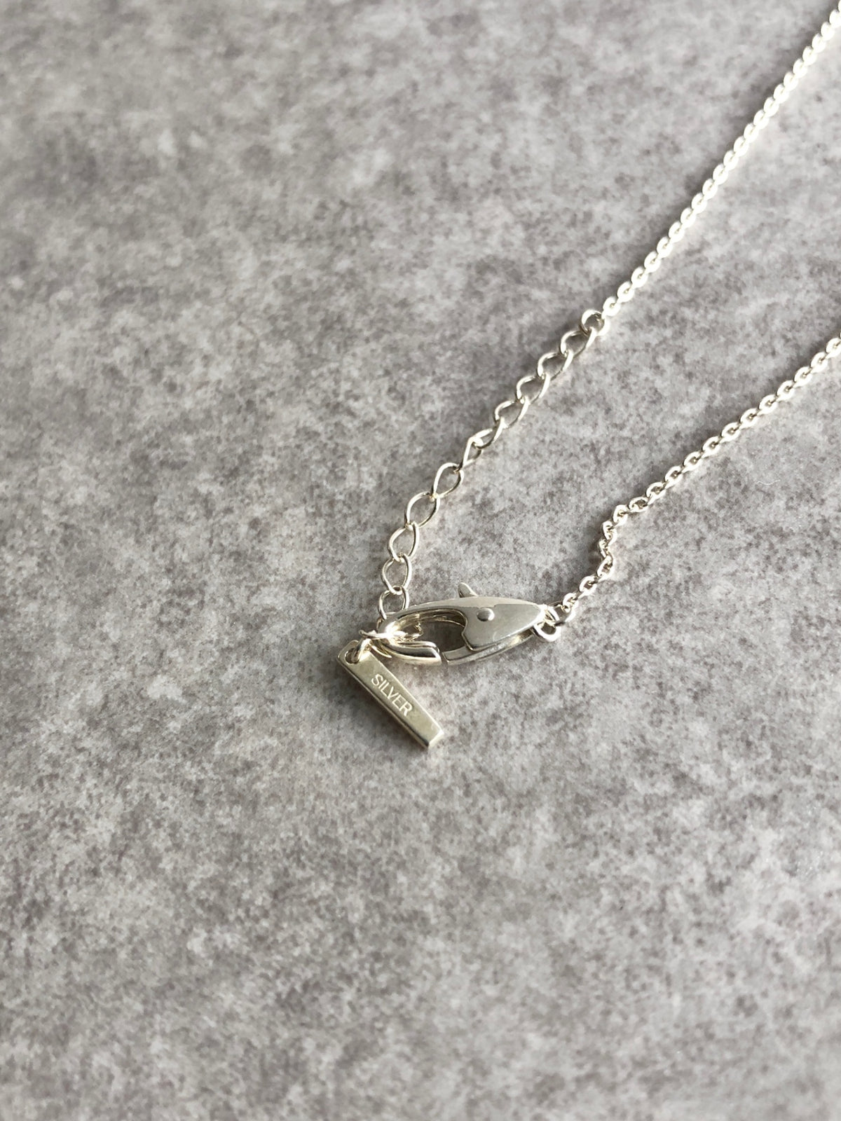 CELINE Triomphe SILVER925 Necklace Silver Vintage z3m68b