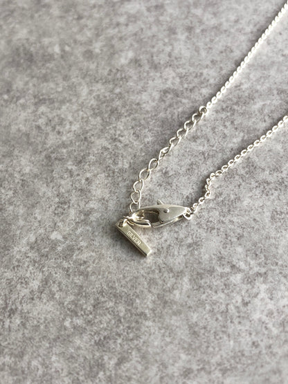 CELINE Triomphe SILVER925 Necklace Silver Vintage z3m68b