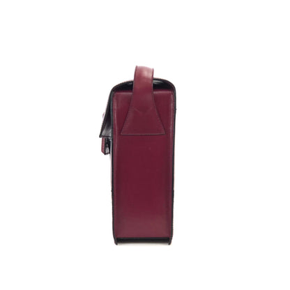 CELINE Front Buckle Crossbody Box Shoulder bag Wine red Vintage Old CELINE wvxw4y