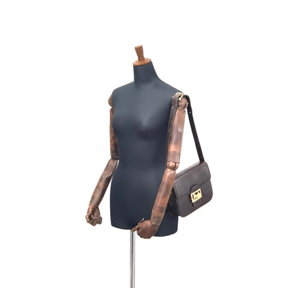 CELINE 馬車皮革肩背包棕色復古舊 Celine yatwhr