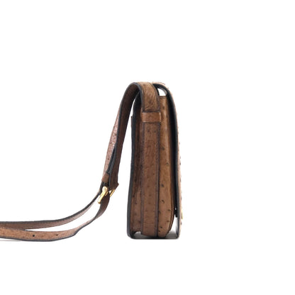 CELINE Triomphe Blason Emblem 鴕鳥皮斜背包單肩包棕色復古 ncpap7 