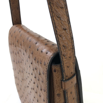 CELINE Triomphe Blason Emblem 鴕鳥皮斜背包單肩包棕色復古 ncpap7 