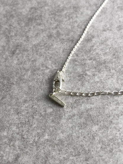 CELINE Triomphe SILVER925 Necklace Silver Vintage z3m68b