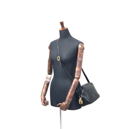 Christian Dior Logo Charm Leather Crossbody Shoulder bag Black Vintage gyuw6k