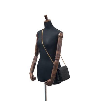 CELINE Triomphe Flap Chain Shoulder Leather Shoulder bag Black Vintage grdgz7