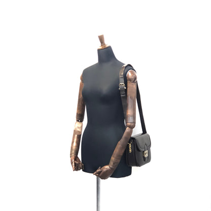 CELINE Blason Triomphe Shoulder bag Brown Old CELINE vintage 85uiw4