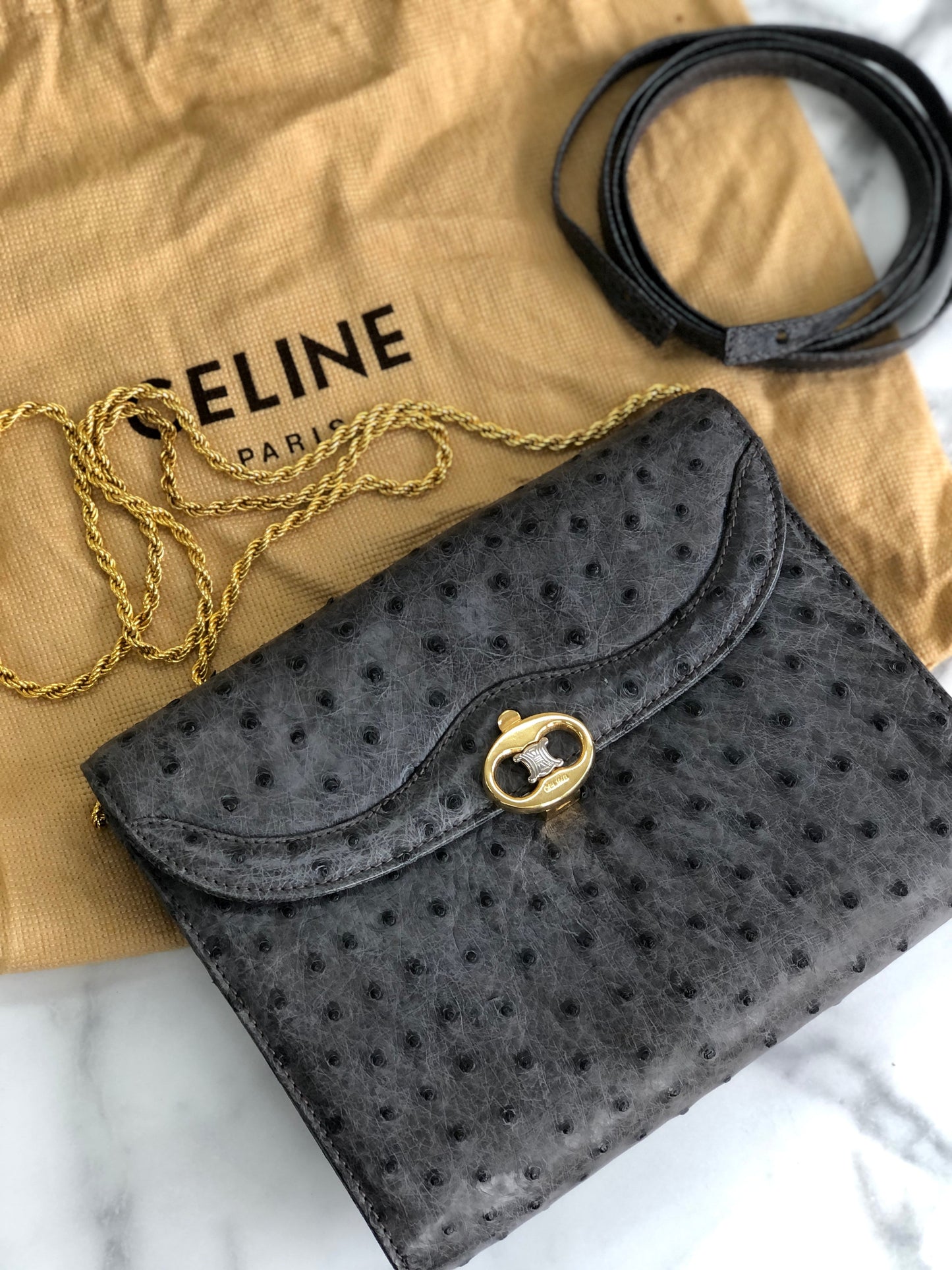 CELINE Blason Triomphe Ostrich Two way Chain Shoulder Bag Clutch bag Gray Old Celine Vintage vybyhv