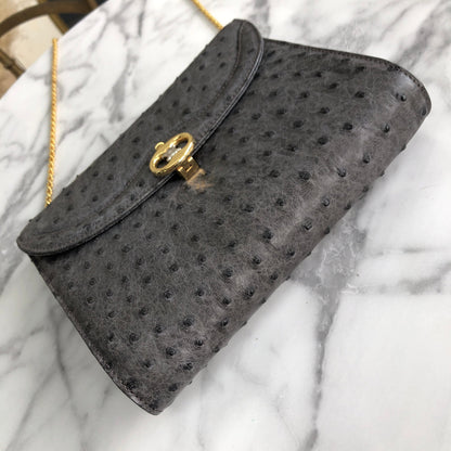 CELINE Blason Triomphe Ostrich Two way Chain Shoulder Bag Clutch bag Gray Old Celine Vintage vybyhv