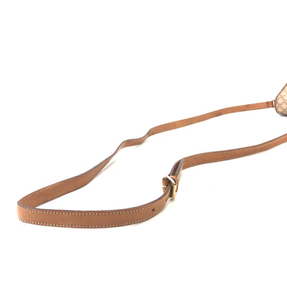 CELINE Macadam Blason 翻蓋斜背包迷你肩背包米色復古舊 Celine 3mrfgw