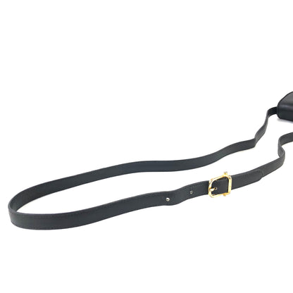 CELINE Blason Triomphe 標誌小號斜挎包肩包黑色舊款 Celine 復古 xwxb4m