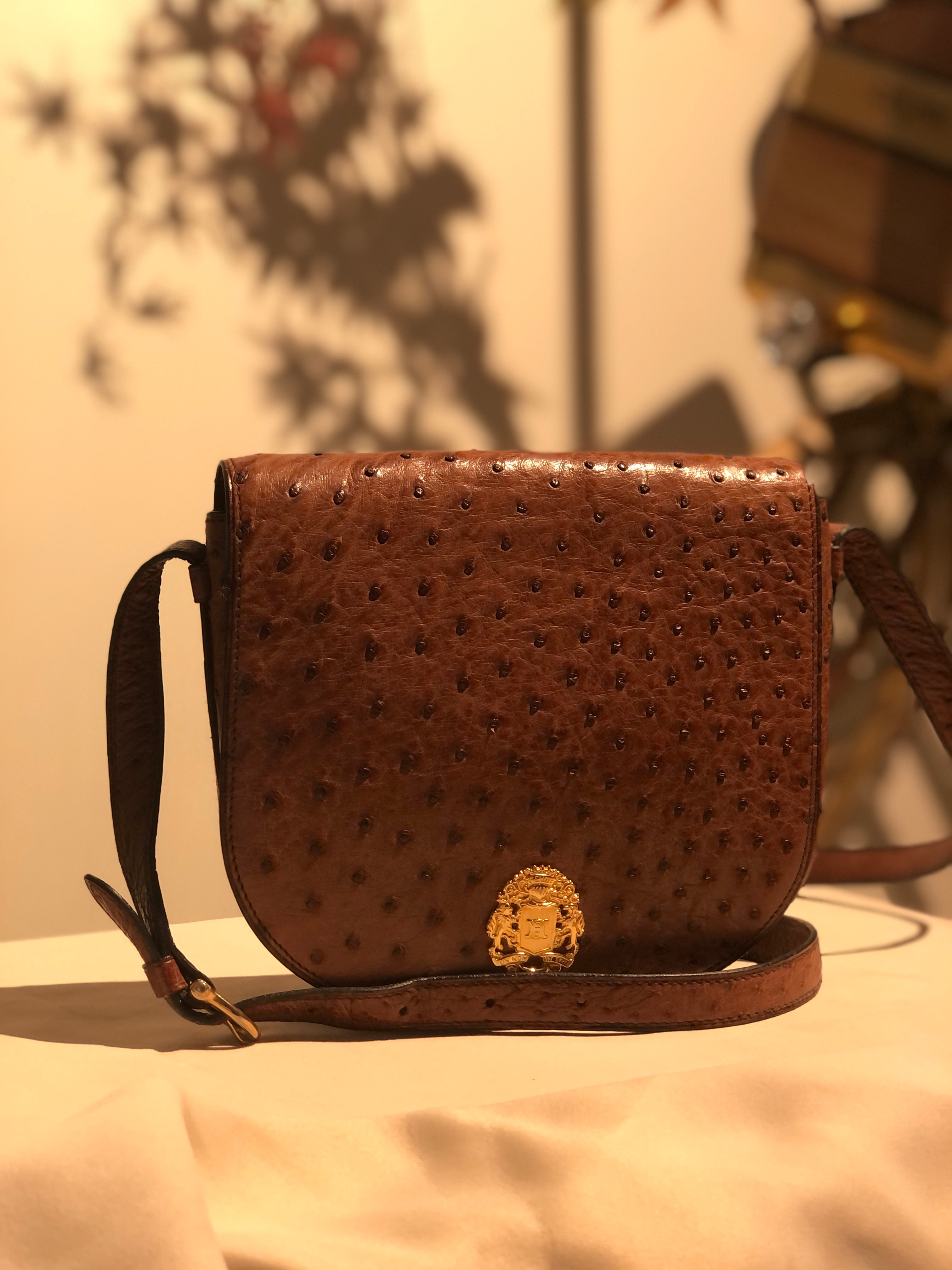 CELINE Triomphe Blason Emblem Ostrich Leather Crossbody Shoulder bag Brown Vintage ncpap7