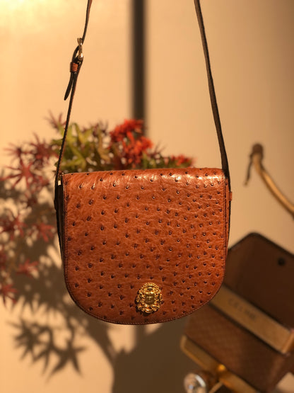 CELINE Triomphe Blason Emblem 鴕鳥皮斜背包單肩包棕色復古 ncpap7 