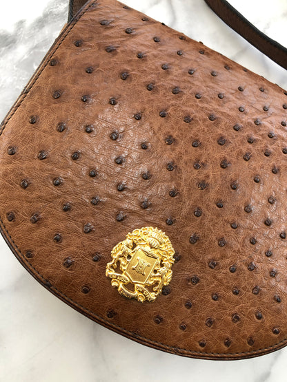 CELINE Triomphe Blason Emblem 鴕鳥皮斜背包單肩包棕色復古 ncpap7 