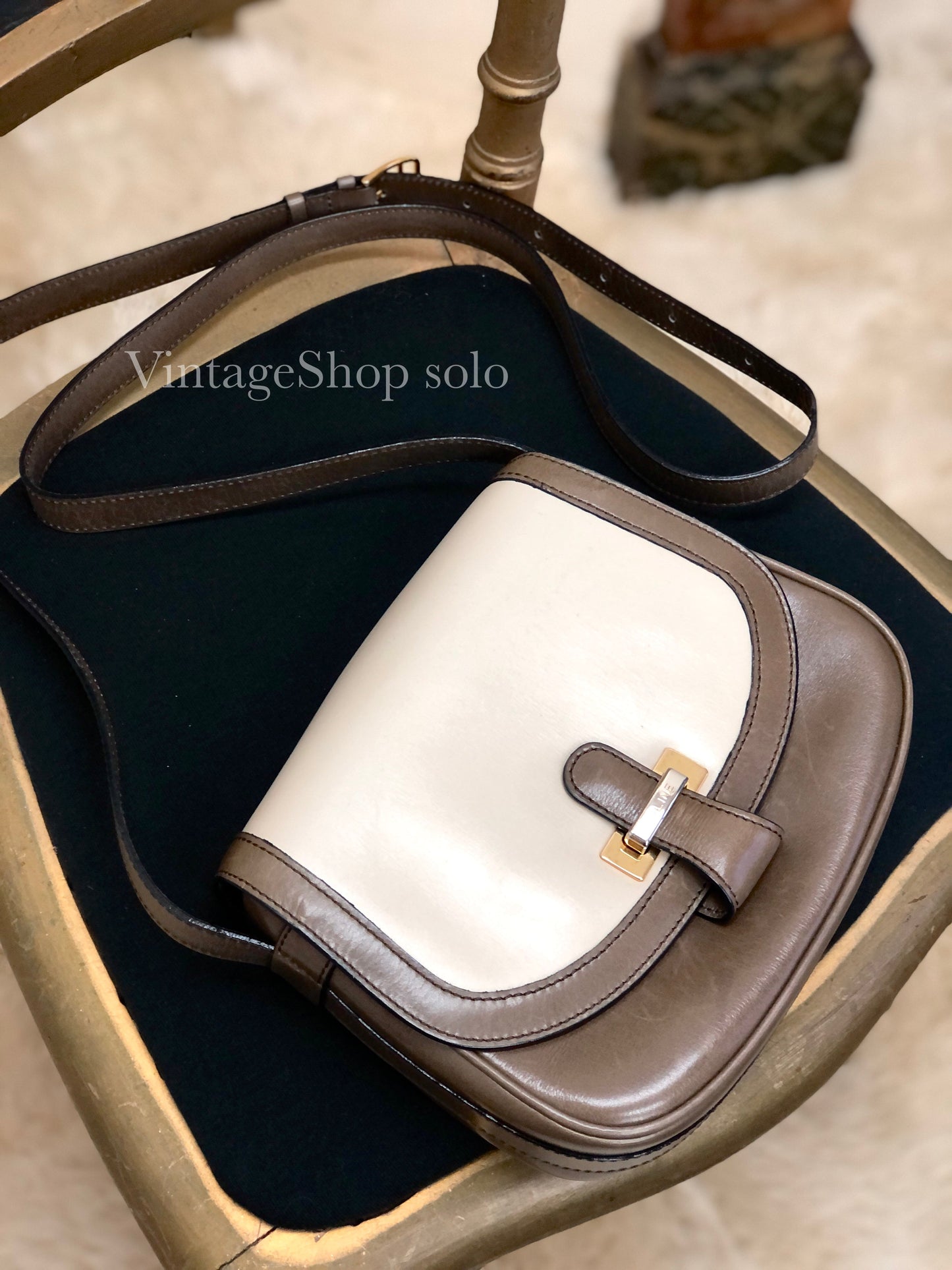 CELINE Leather Bicolor Shoulder Bag Brown White Vintage OldCeline d4xrie