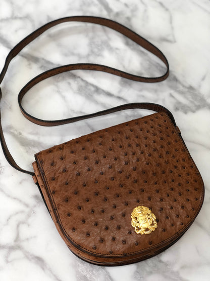 CELINE Triomphe Blason Emblem 鴕鳥皮斜背包單肩包棕色復古 ncpap7 